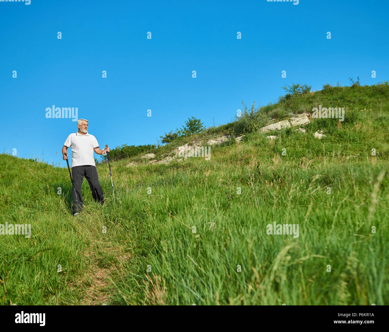 Old man walking on green field with tracking sticks. Wearing classic ...