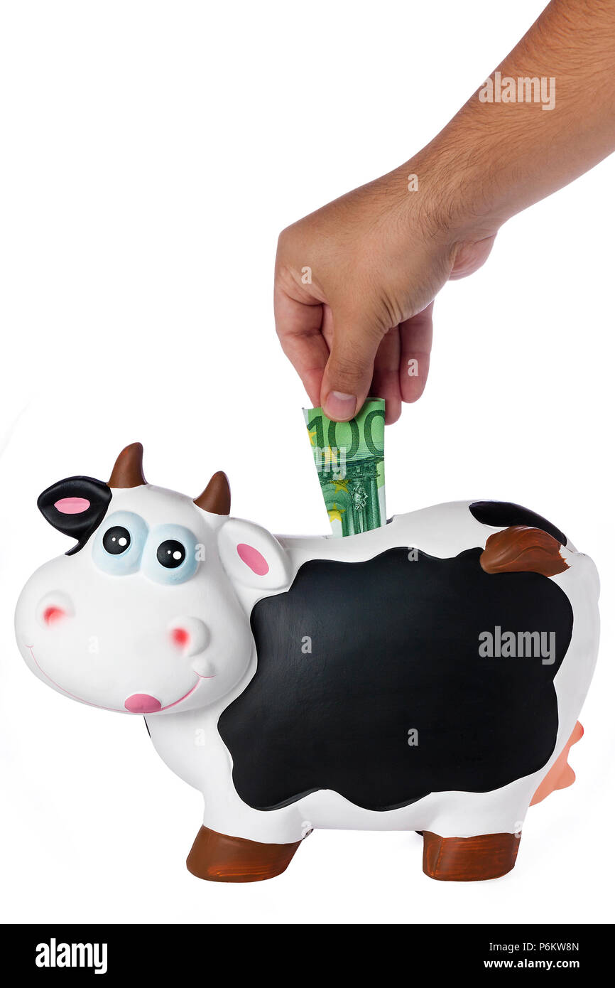 Male hand inserting 100 euro banknotes in porcelain cow piggybank isolated Stock Photo
