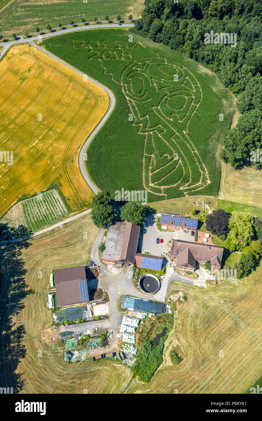 Corn maze with Russian football emblem in Cappenberg, Farm Lünemann, Selm, Ruhr, Nordrhein-Westfalen, Germany, DEU, Europe, aerial view, birds-eyes vi Stock Photo