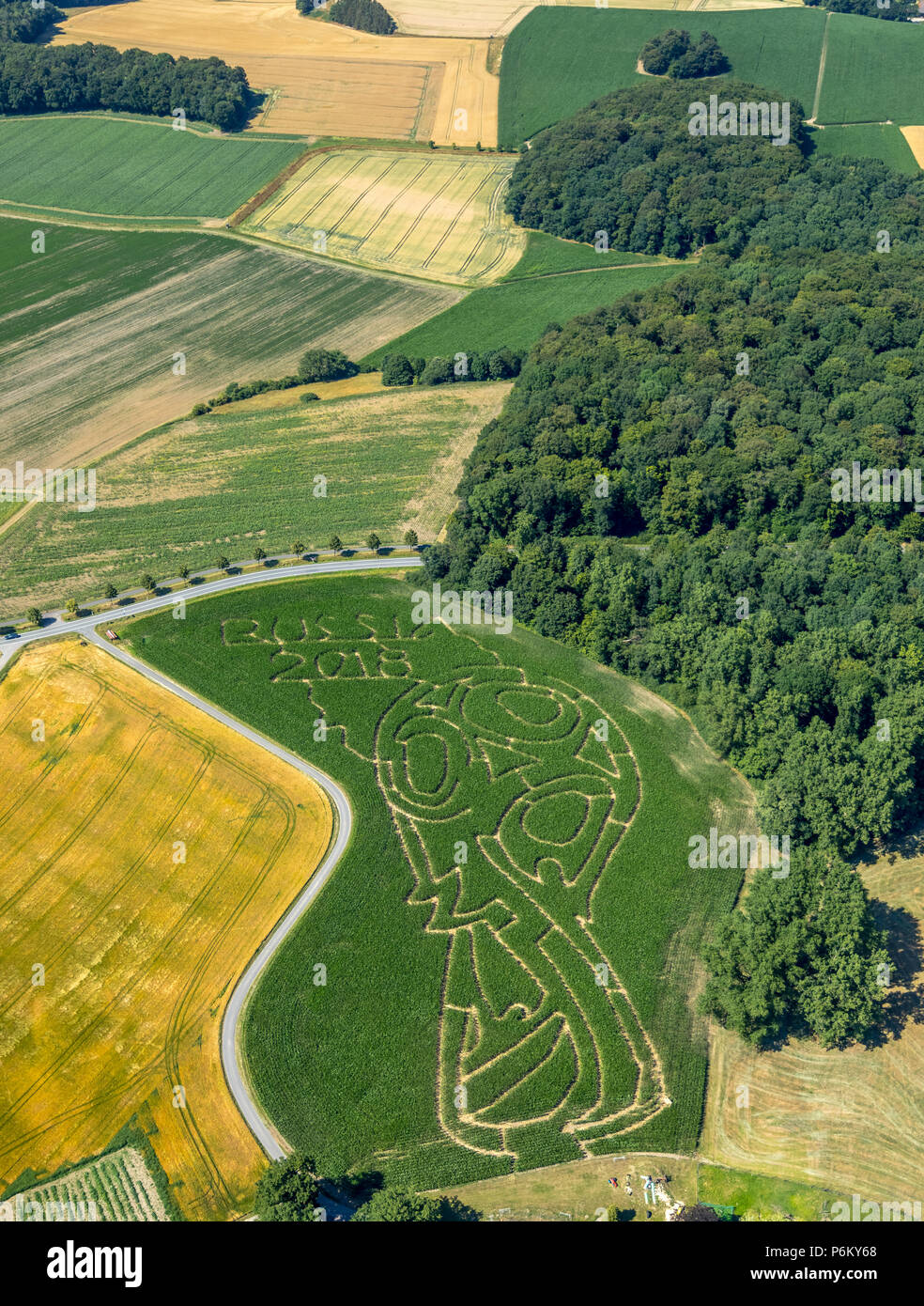 Corn maze with Russian football emblem in Cappenberg, Farm Lünemann, Selm, Ruhr, Nordrhein-Westfalen, Germany, DEU, Europe, aerial view, birds-eyes vi Stock Photo