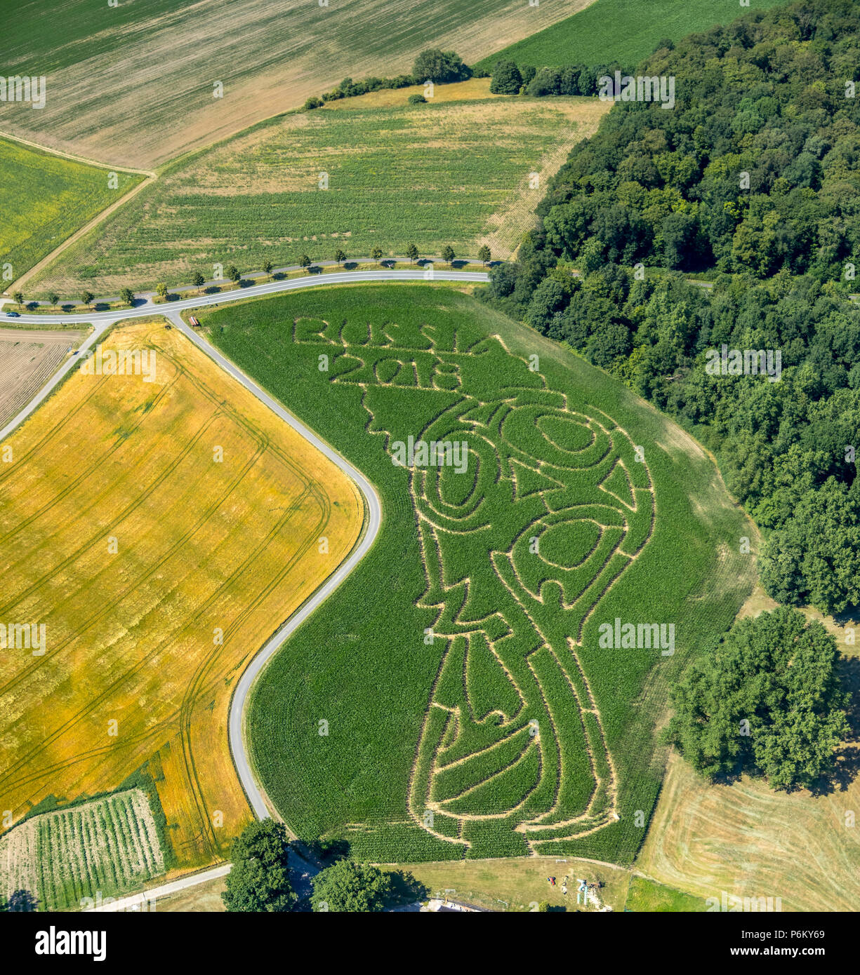 Corn maze with Russian football emblem in Cappenberg, Farm Lünemann, Selm, Ruhr, Nordrhein-Westfalen, Germany, DEU, Europe, aerial view, birds-eyes vi Stock Photo