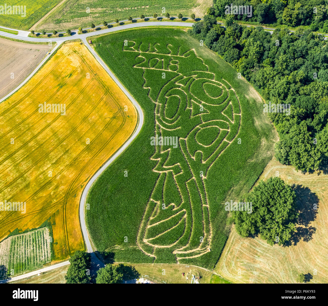 Russia field aerial corn hi-res stock photography and images - Alamy