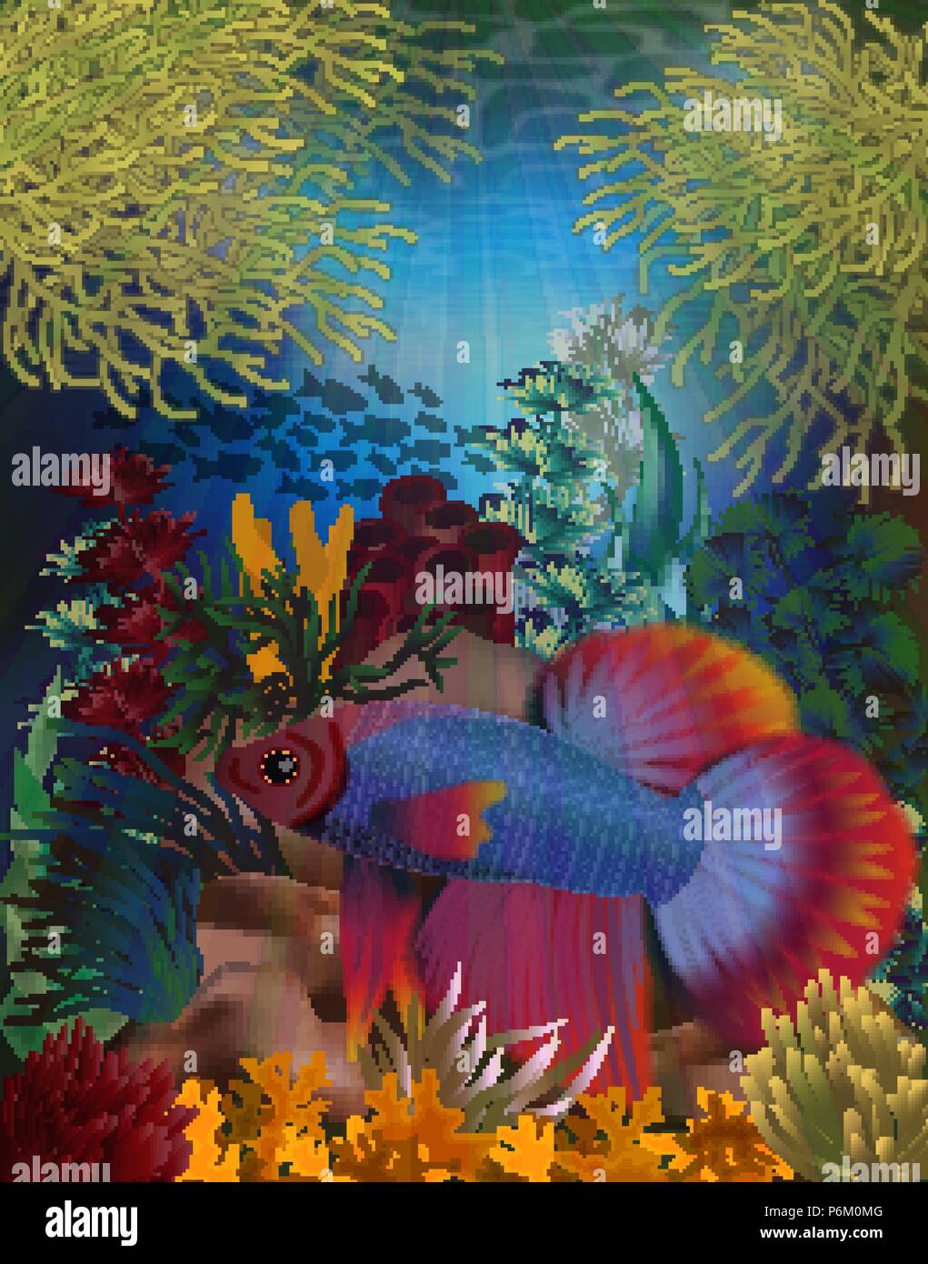 Underwater banner with Betta Splendens and Cardinal Tetra fish, vector ...