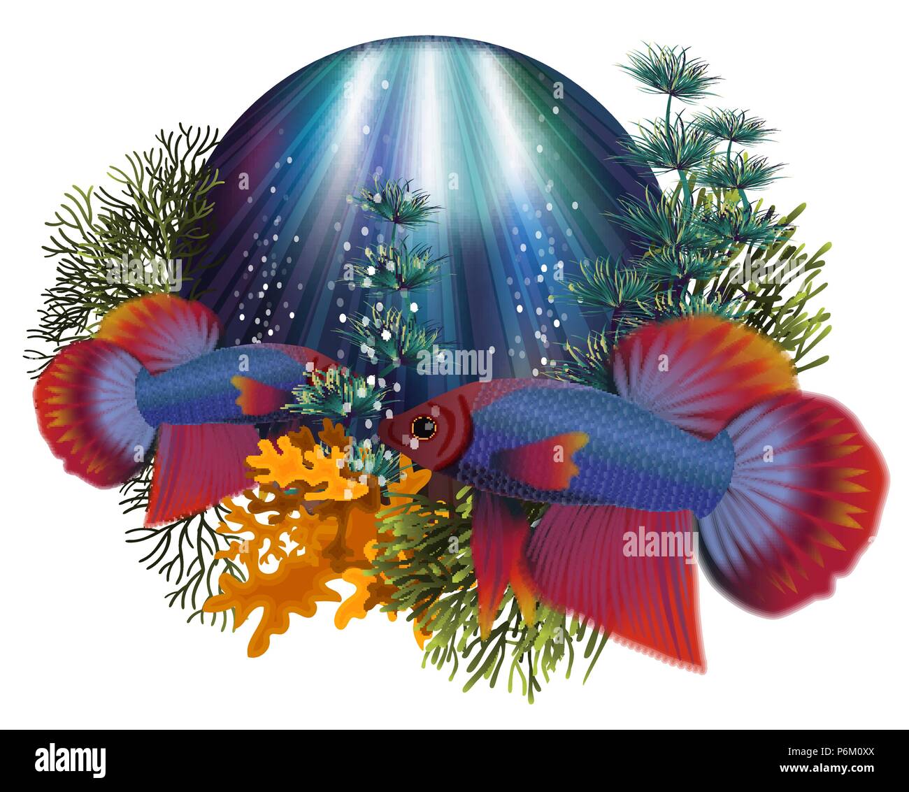 Underwater banner with Betta Splendens and Cardinal Tetra fish