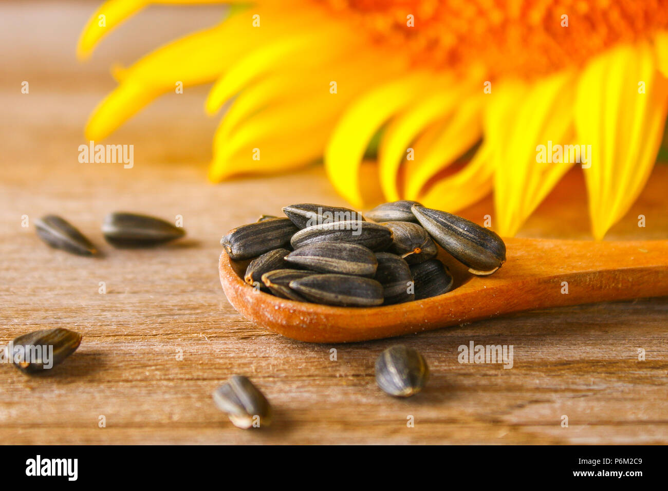 Sunflower oil and sunflower seeds in small sack on traditional rustic