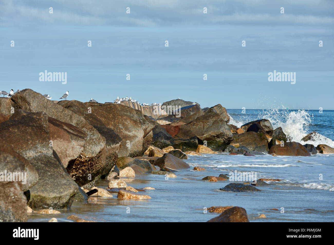 Seabirds lined up on a breakwall with a wave breaking over the rocks Stock Photo