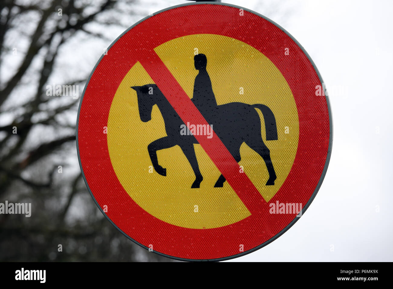 Lessebo, Sweden, sign - Riding prohibited - Stock Photo