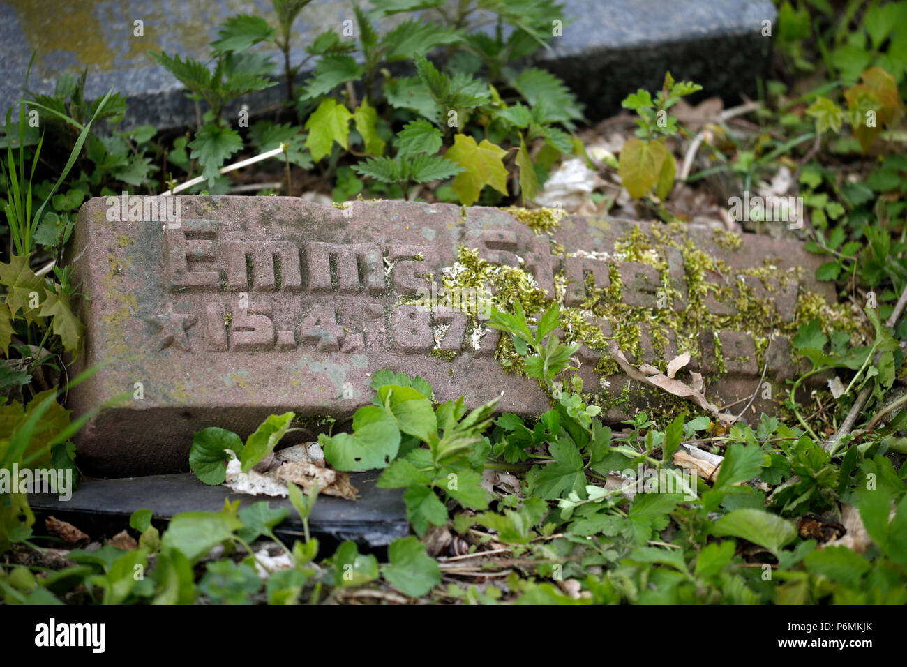 Hoppegarten, Germany - overgrown tombstone Stock Photo