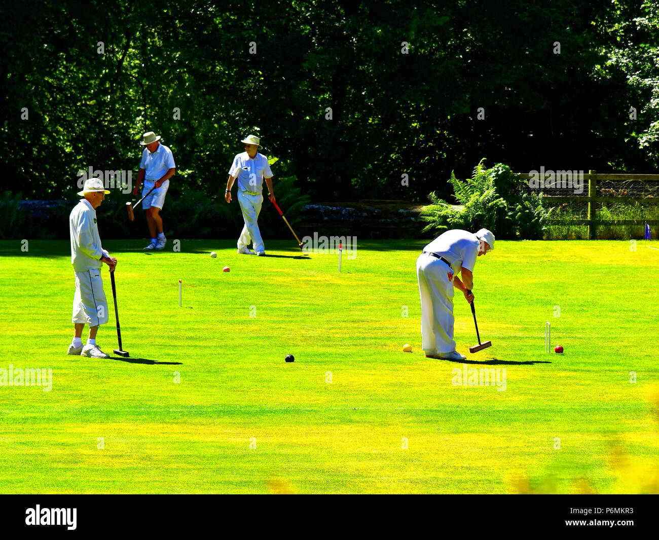 Belsay hall croquet hires stock photography and images Alamy