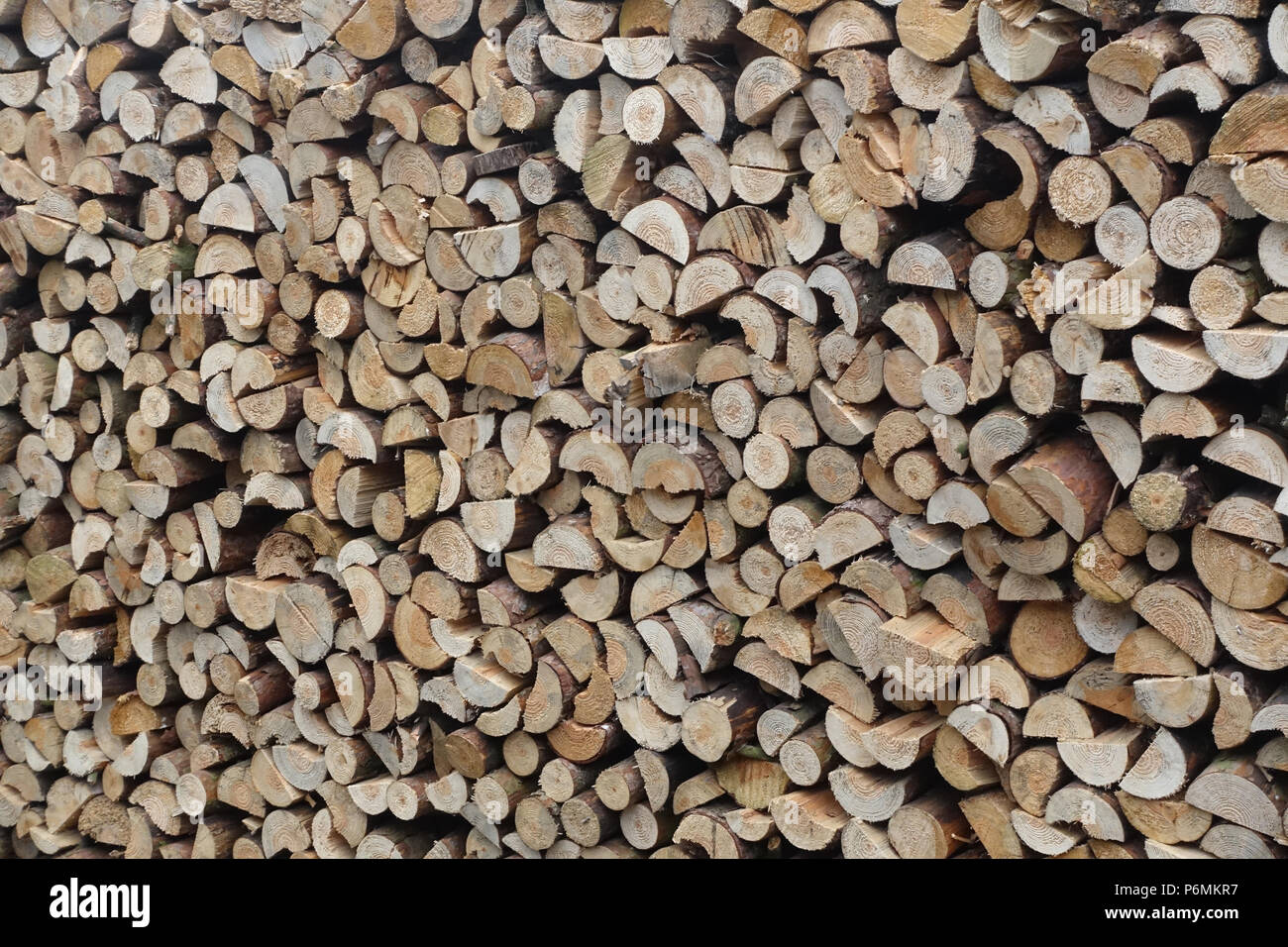 Berlin, Germany - firewood stack Stock Photo