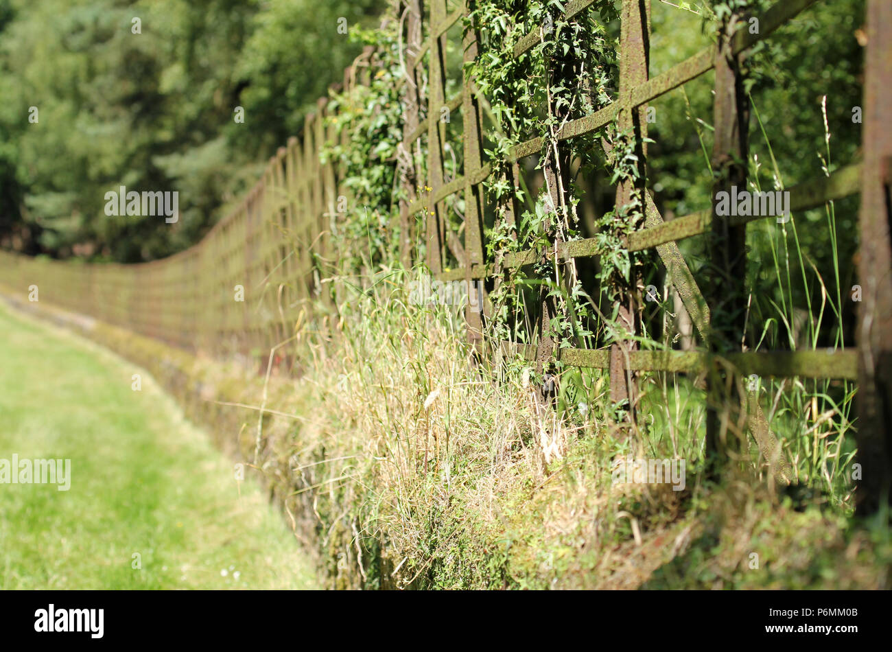 Traditional fencing hi-res stock photography and images - Alamy