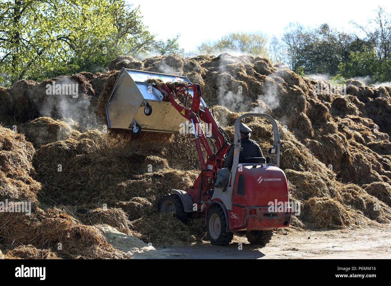 Gestuet Graditz, horse manure in a container is dumped on the dunghill Stock Photo