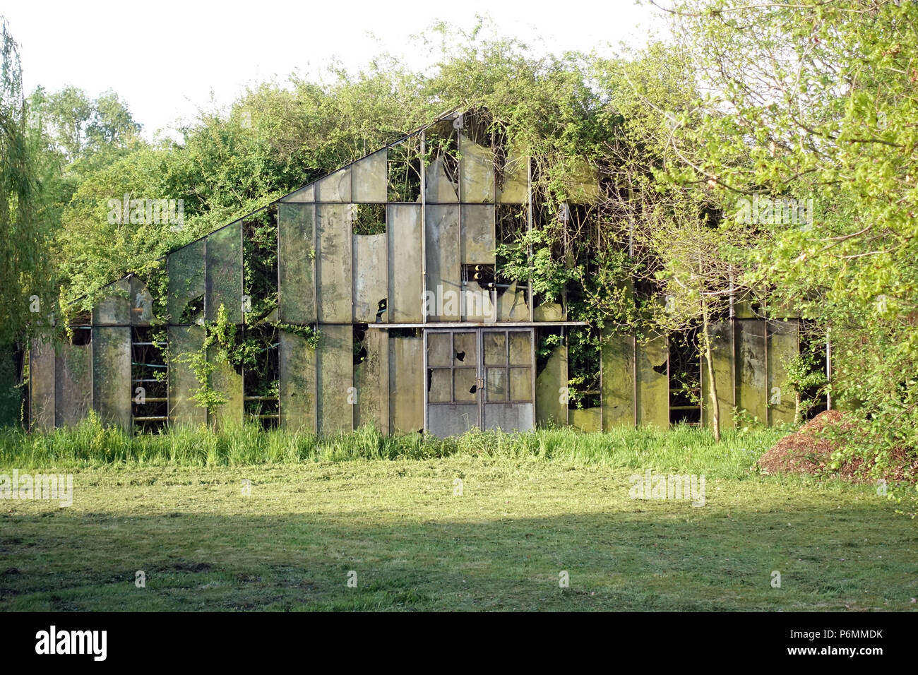 Hamburg, Germany, dilapidated and overgrown with plants warehouse Stock Photo
