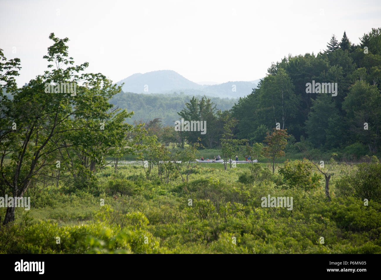 Two canoes navigating down the Sacandaga River in the Adirondack Mountains, NY USA in early summer on a hazy afternoon. Stock Photo