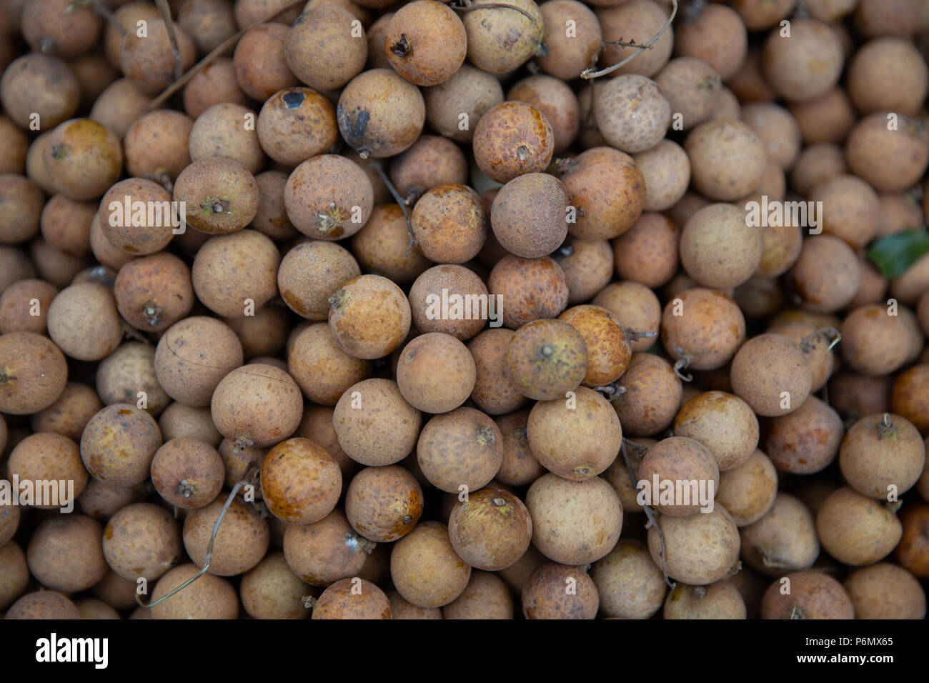 Longans from the market Stock Photo Alamy