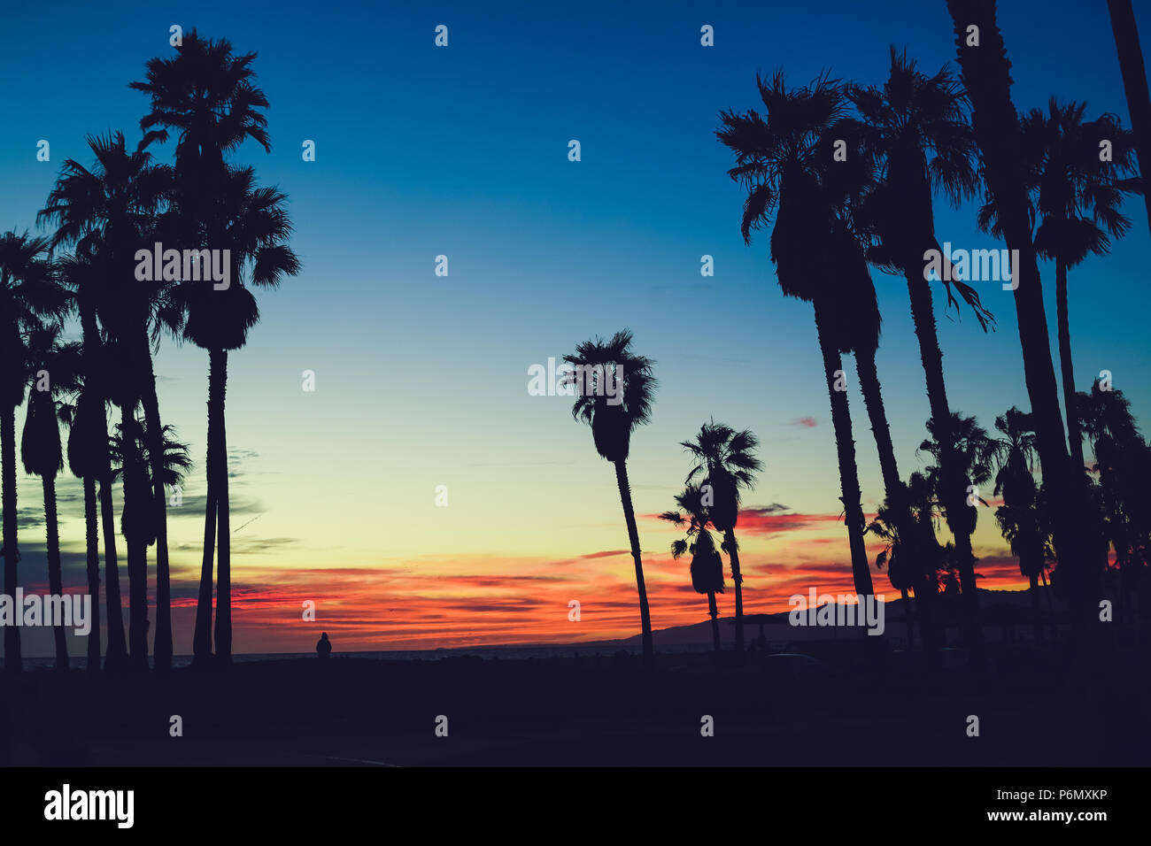 Hawaii sunset palm trees red hi-res stock photography and images - Alamy