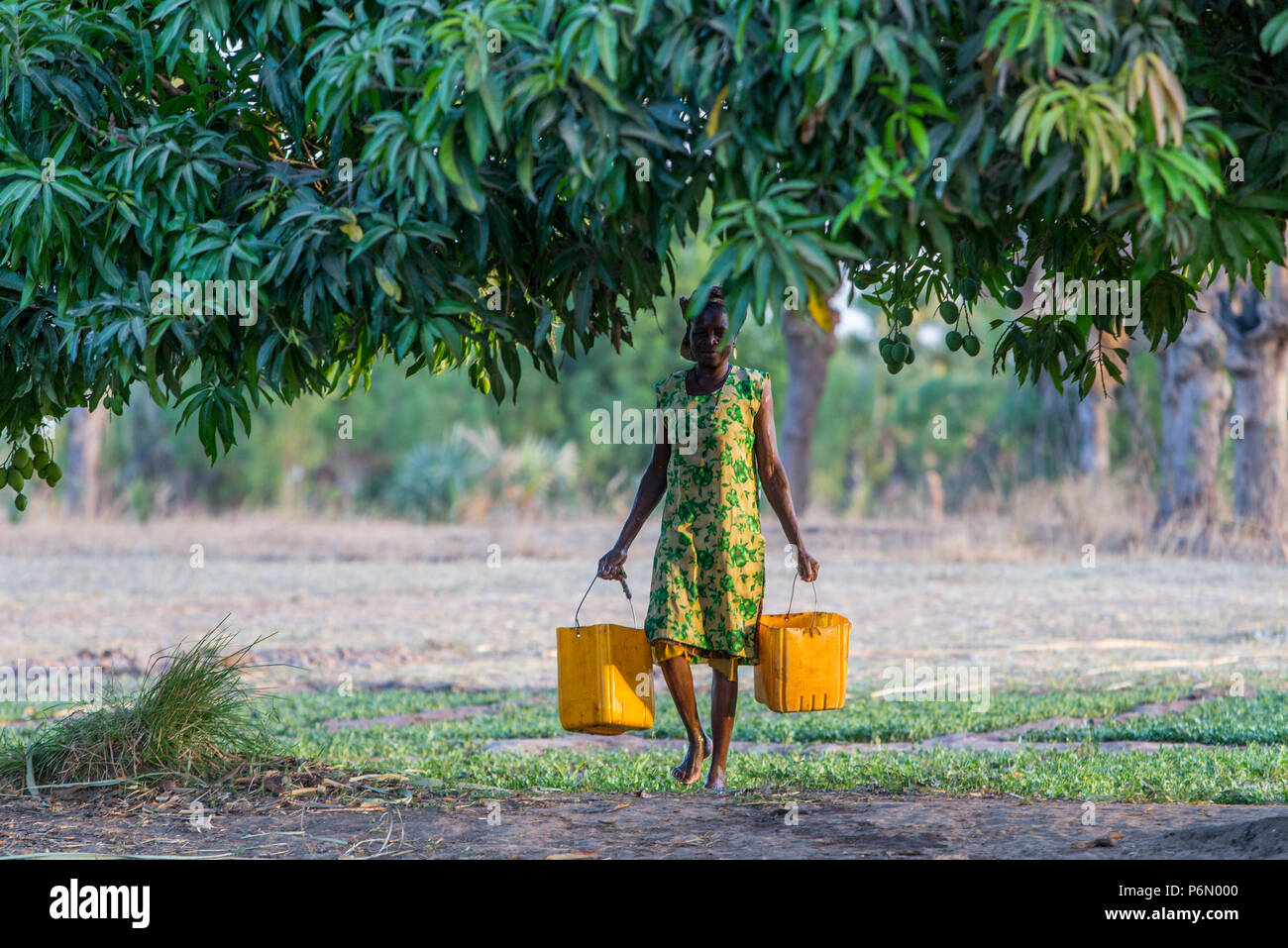 Carrying buckets of water hires stock photography and images Alamy