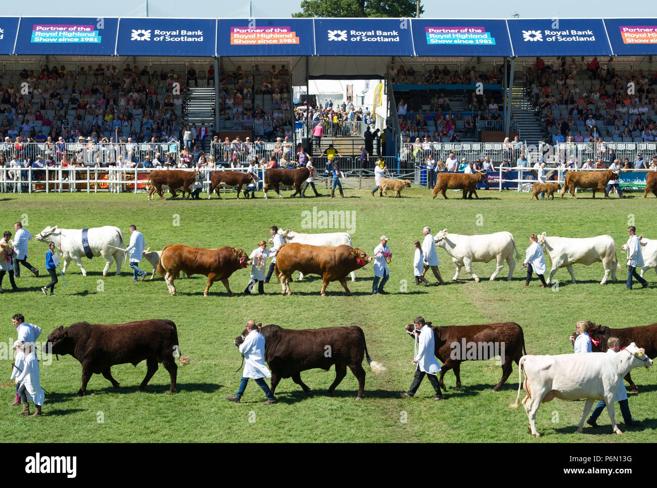 At the royal highland showground in edinburgh hires stock photography