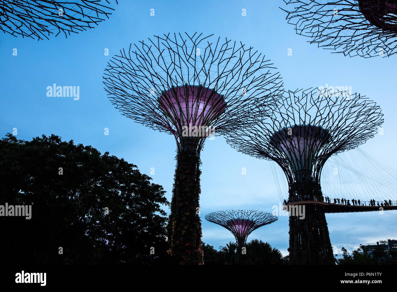 Singapore Jun 22, 2018 Super Tree Grove plant structures in the