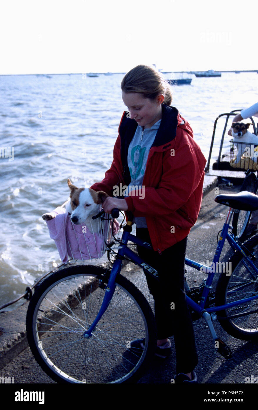 Woman with Jack Russell dog in basket on bicycle beside the sea FOR