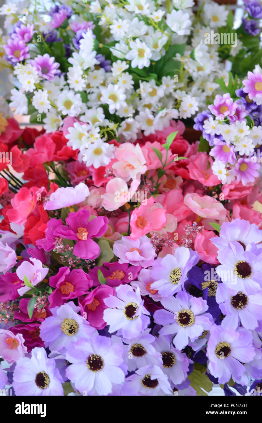 The background of the beautiful flowers in colorful Stock Photo - Alamy