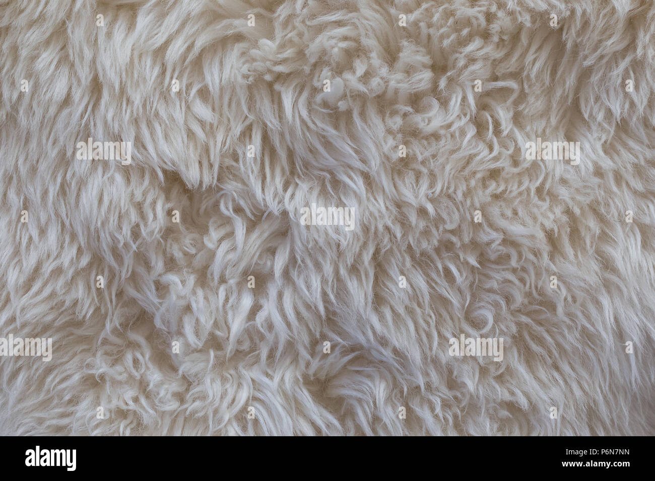 Close-up of a white shaggy carpet texture background viewed from above Stock Photo