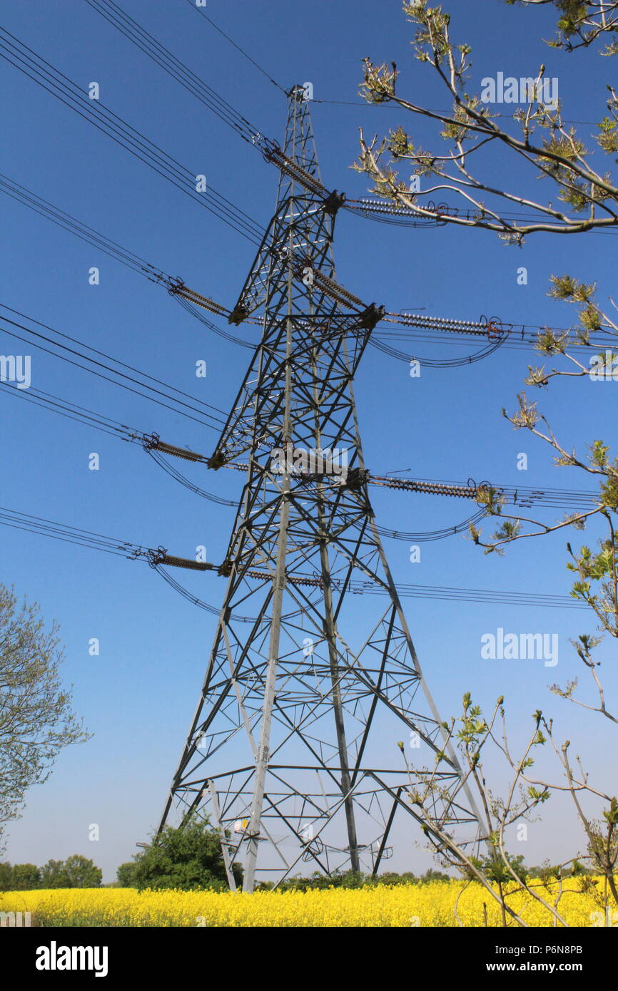 High voltage electricity pylons in Yorkshire field Stock Photo