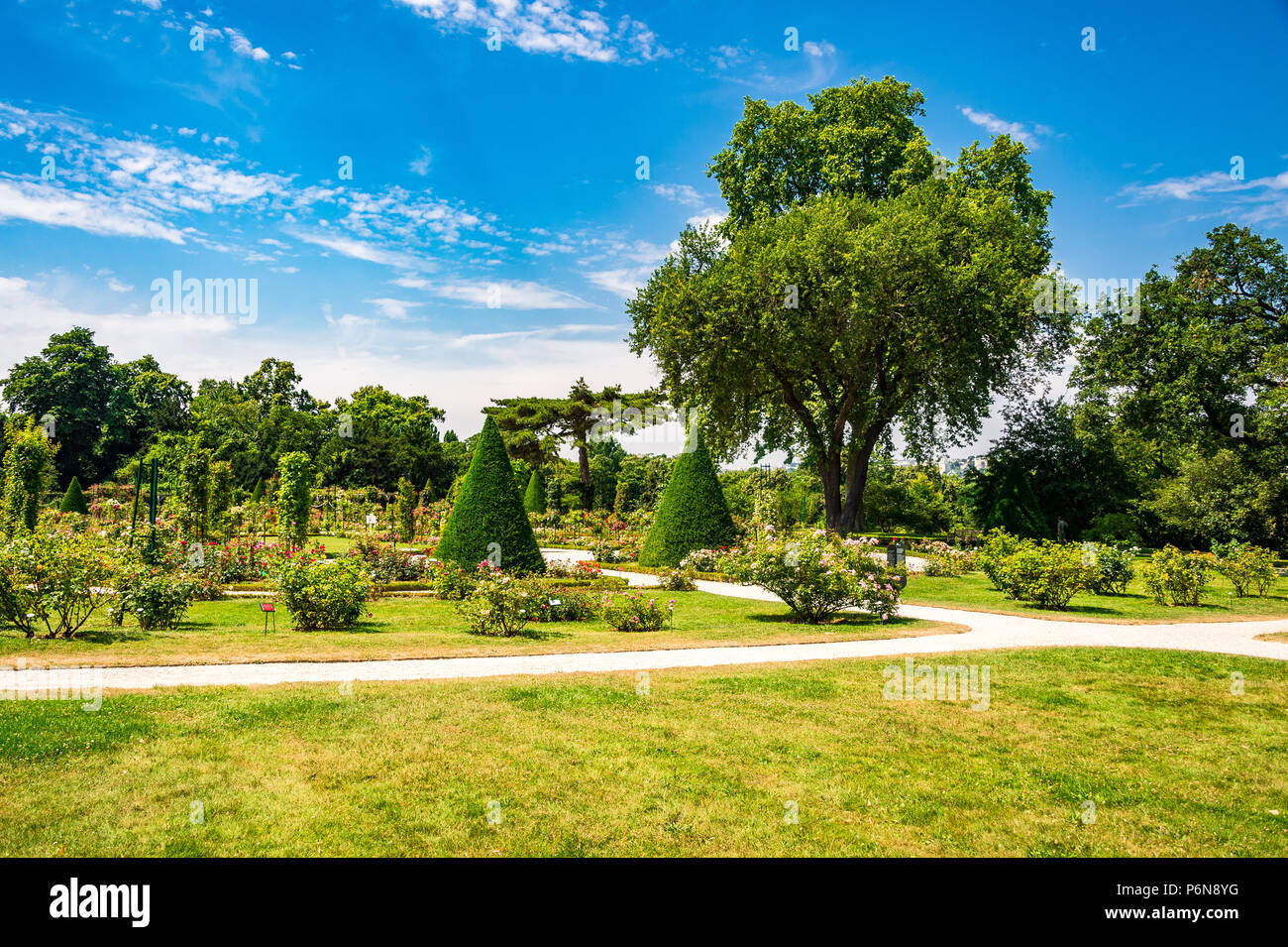 The spectacular Rose Garden within Parc de Bagatelle in Paris, France Stock Photo