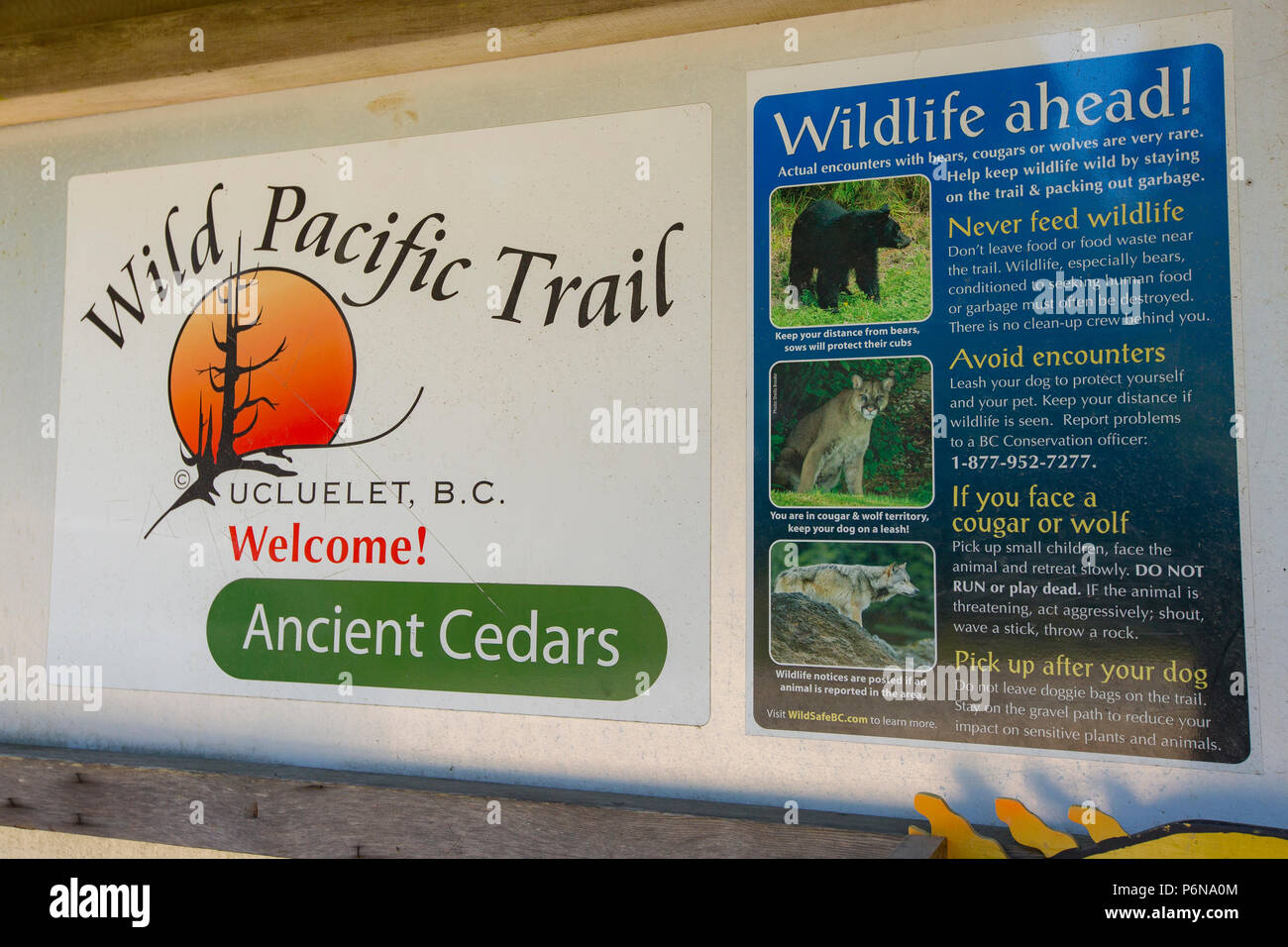 Wild Pacific Trail, Vancouver Island, British Columbia sign. Stock Photo
