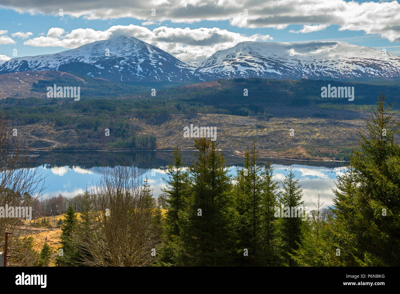 Ben tee hi-res stock photography and images - Alamy