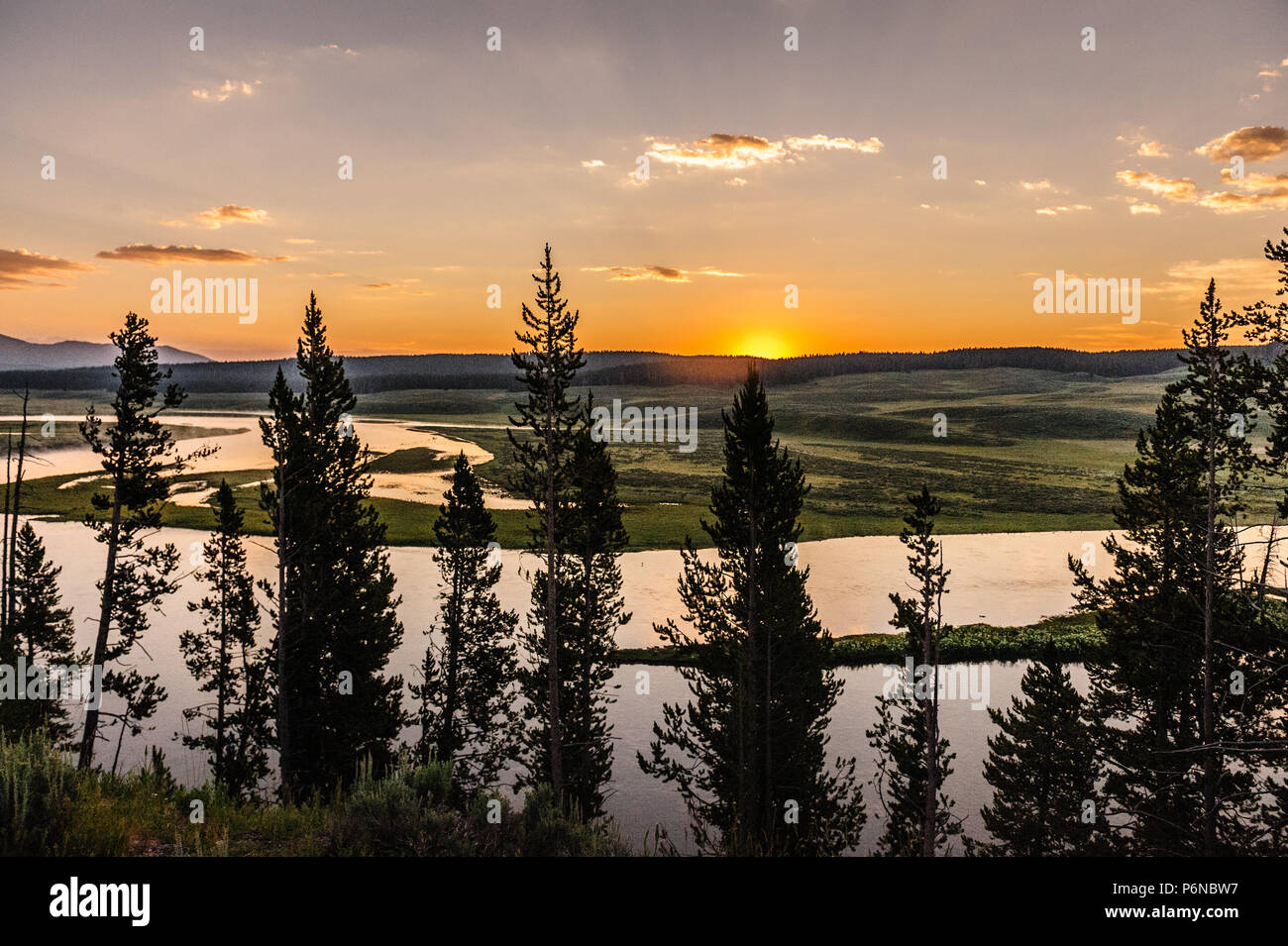Sunrise at Hayden Valley Stock Photo Alamy
