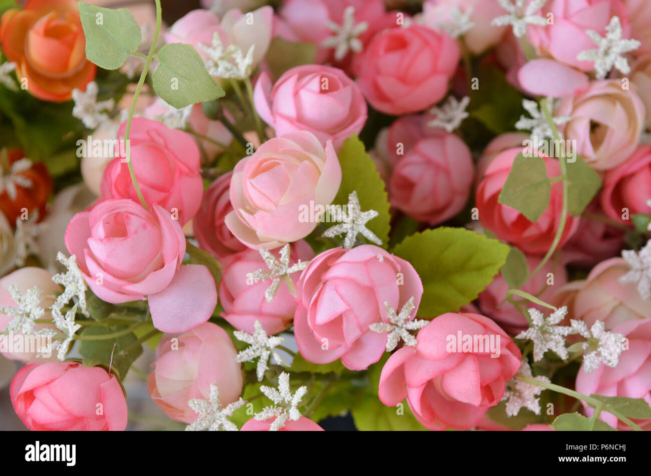 The background of the beautiful flowers in colorful Stock Photo - Alamy