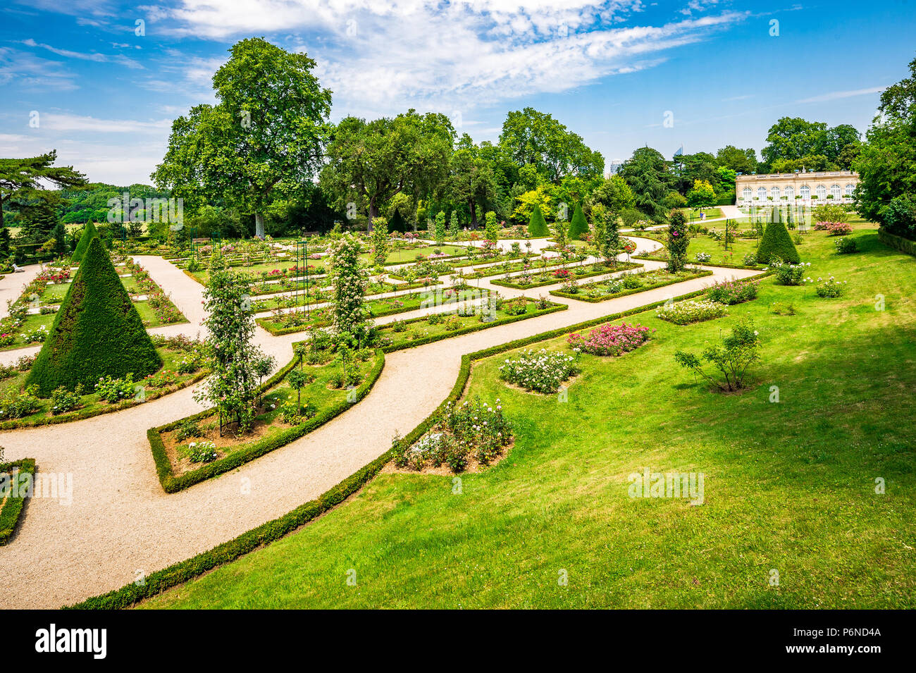 The spectacular Rose Garden within Parc de Bagatelle in Paris, France Stock Photo