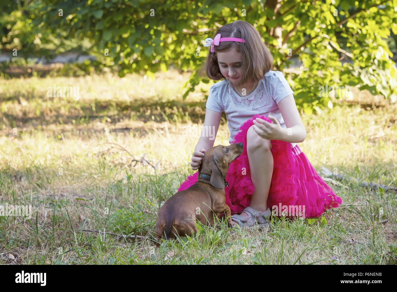 a little girl stroking her favorite hunting dog of a dachshund, sausage