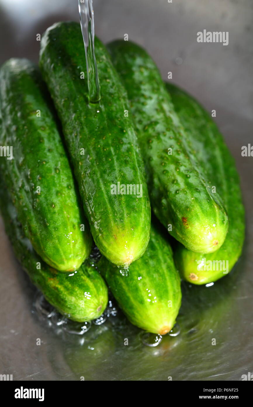 wash the cucumber in metal kitchen sink under water jet closeup Stock