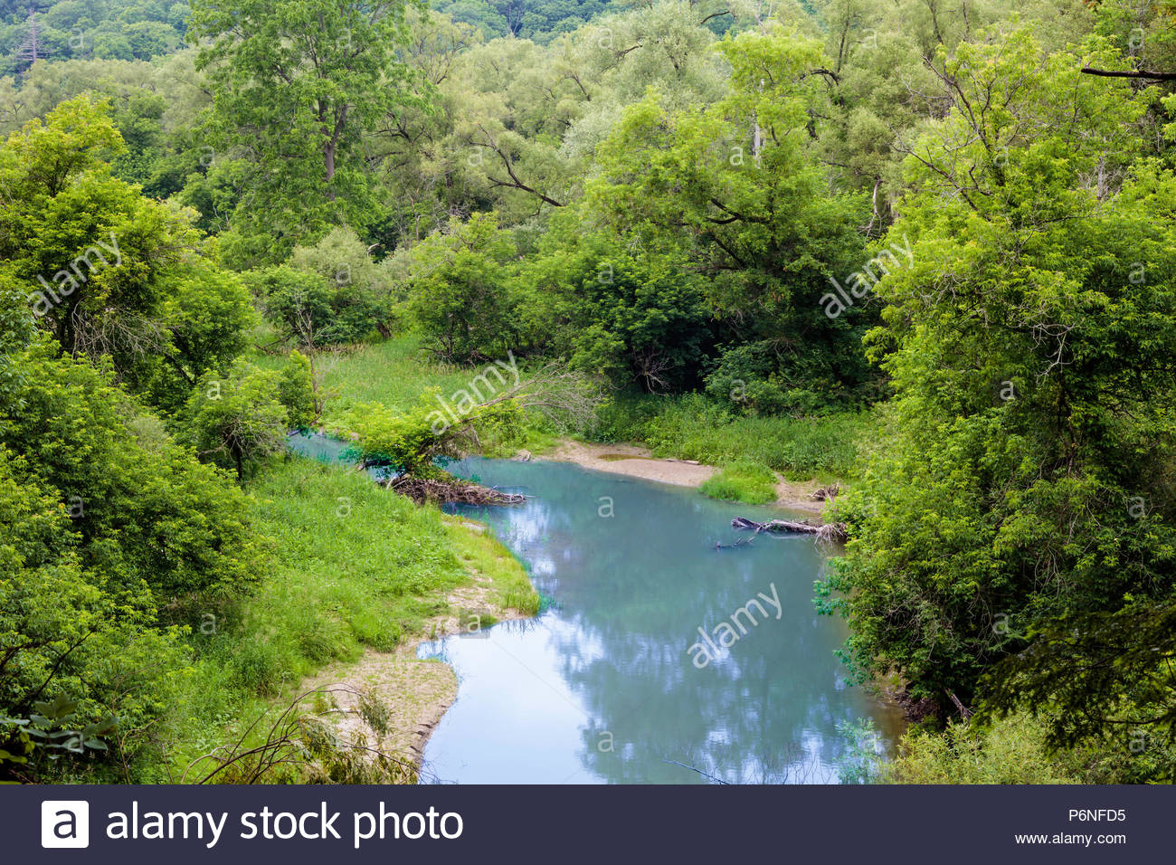 River Valley Forest Summer Little Rouge Creek In The Carolinian