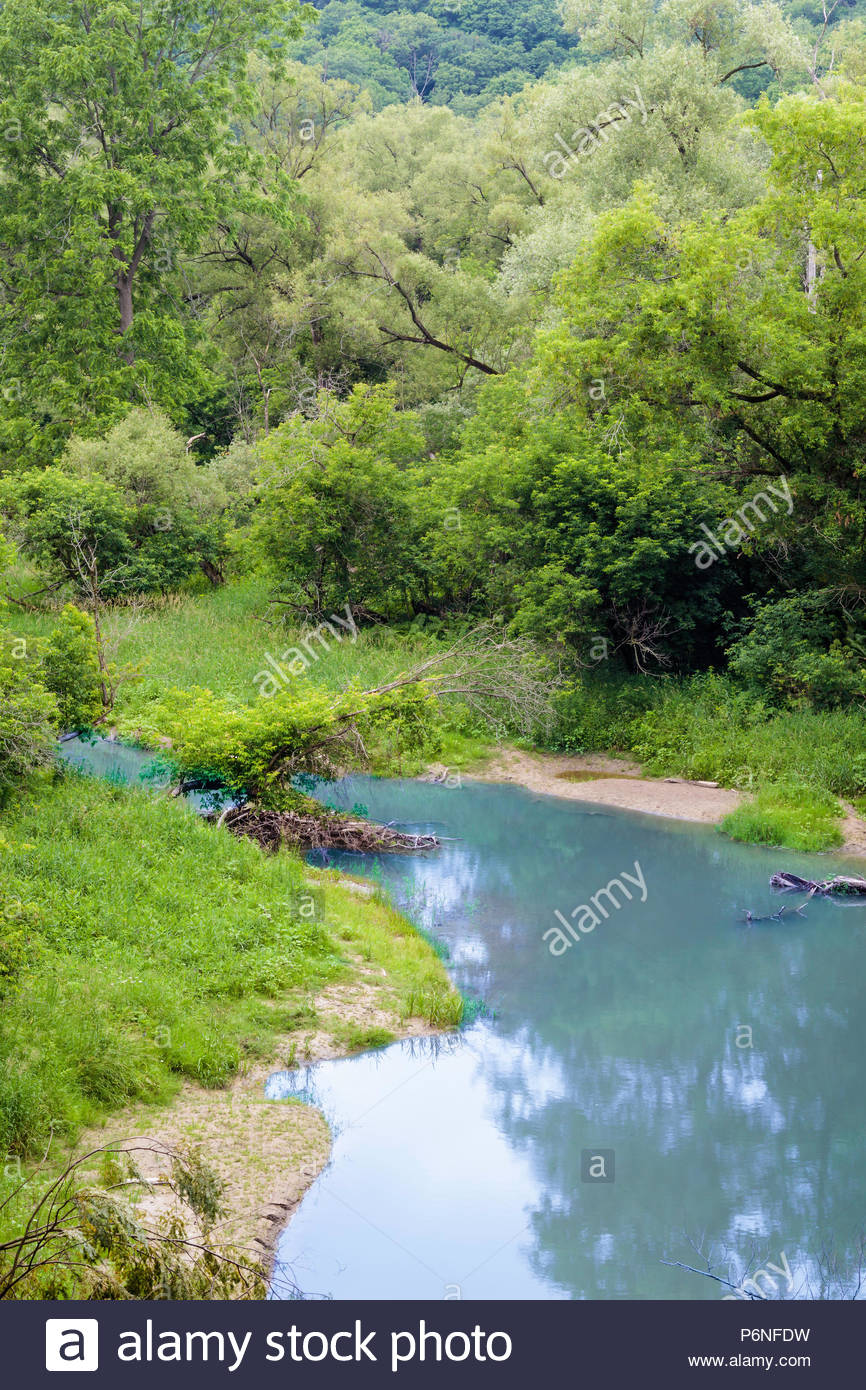 River Valley Forest Summer Little Rouge Creek In The Carolinian