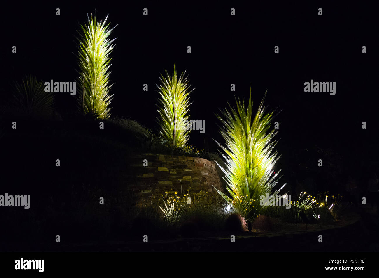 Chihuly Desert Towers at Night at Desert Botanical Garden, Phoenix