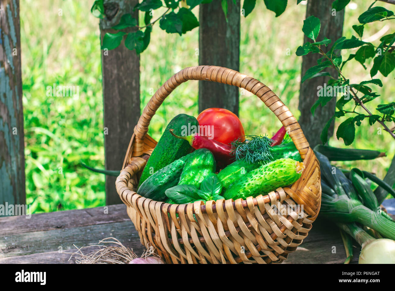 Basket of vegetables outdoors Stock Photo
