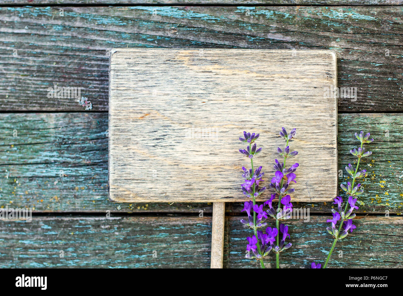 Wooden label with lavender Stock Photo