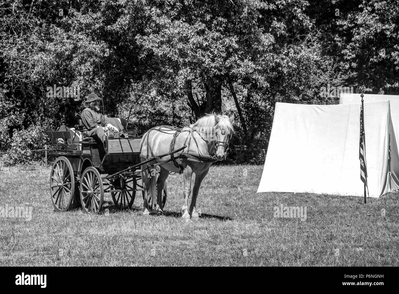 English civil war horse reenactment Black and White Stock Photos ...