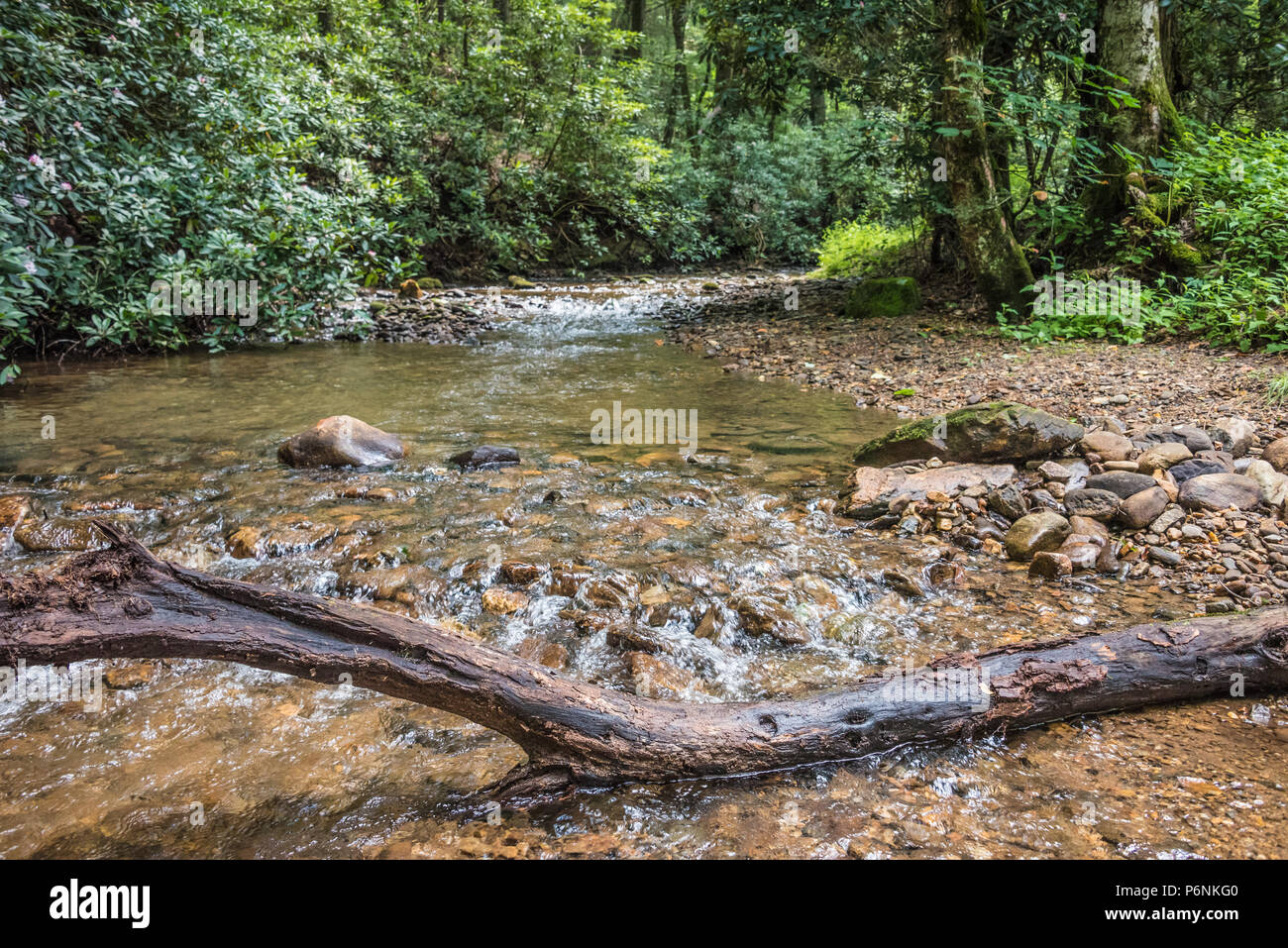 Beautiful And Relaxing Wolf Creek Meanders Along Cabins And