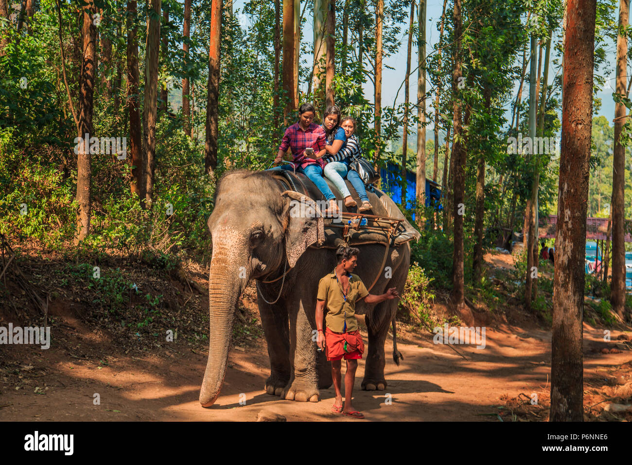 Kerala ride elephant hires stock photography and images Alamy