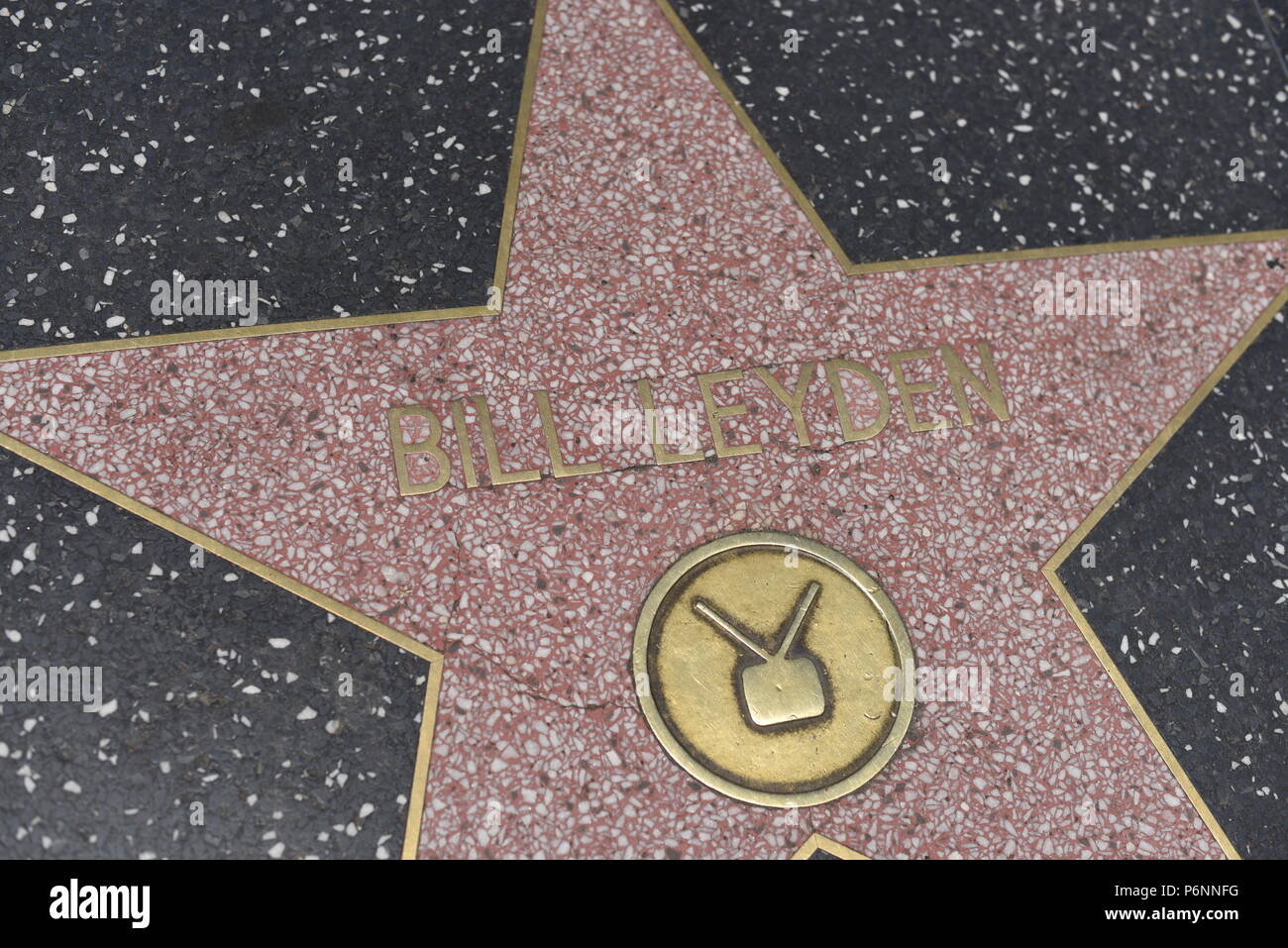 HOLLYWOOD, CA - June 29: Bill Leyden star on the Hollywood Walk of Fame in Hollywood, California on June 29, 2018. Stock Photo