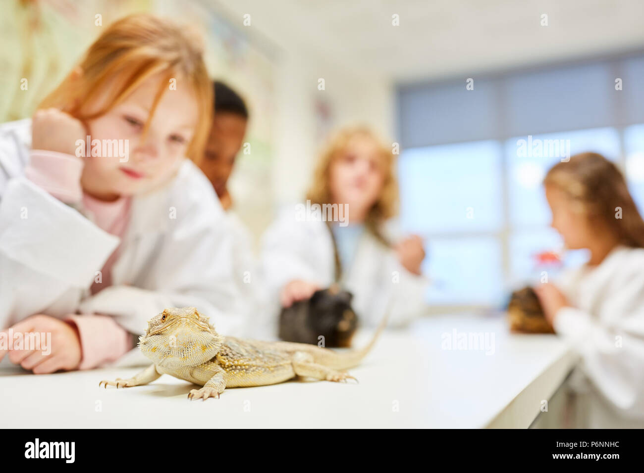 Children explore an exotic iguana and other animals in biology lesson Stock Photo