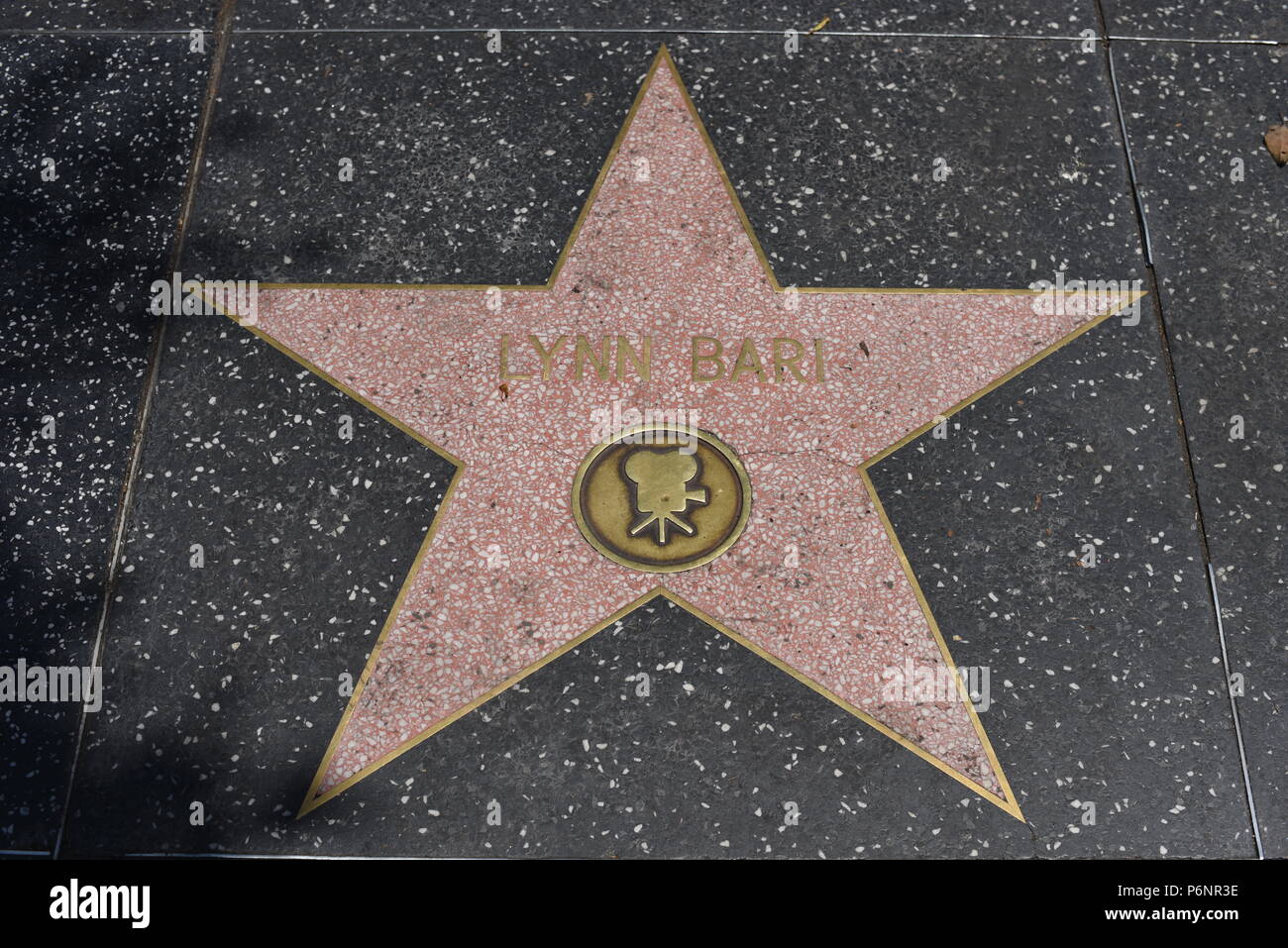 HOLLYWOOD, CA - June 29: Lynn Bari star on the Hollywood Walk of Fame in Hollywood, California on June 29, 2018. Stock Photo