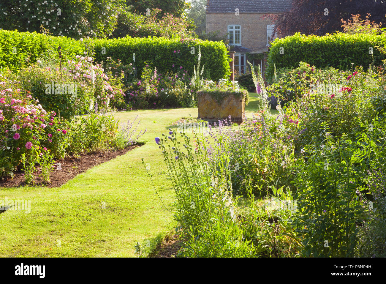 Hall Farm Garden, Harpswell, Lincolnshire, UK. Summer, June 2018. Stock Photo