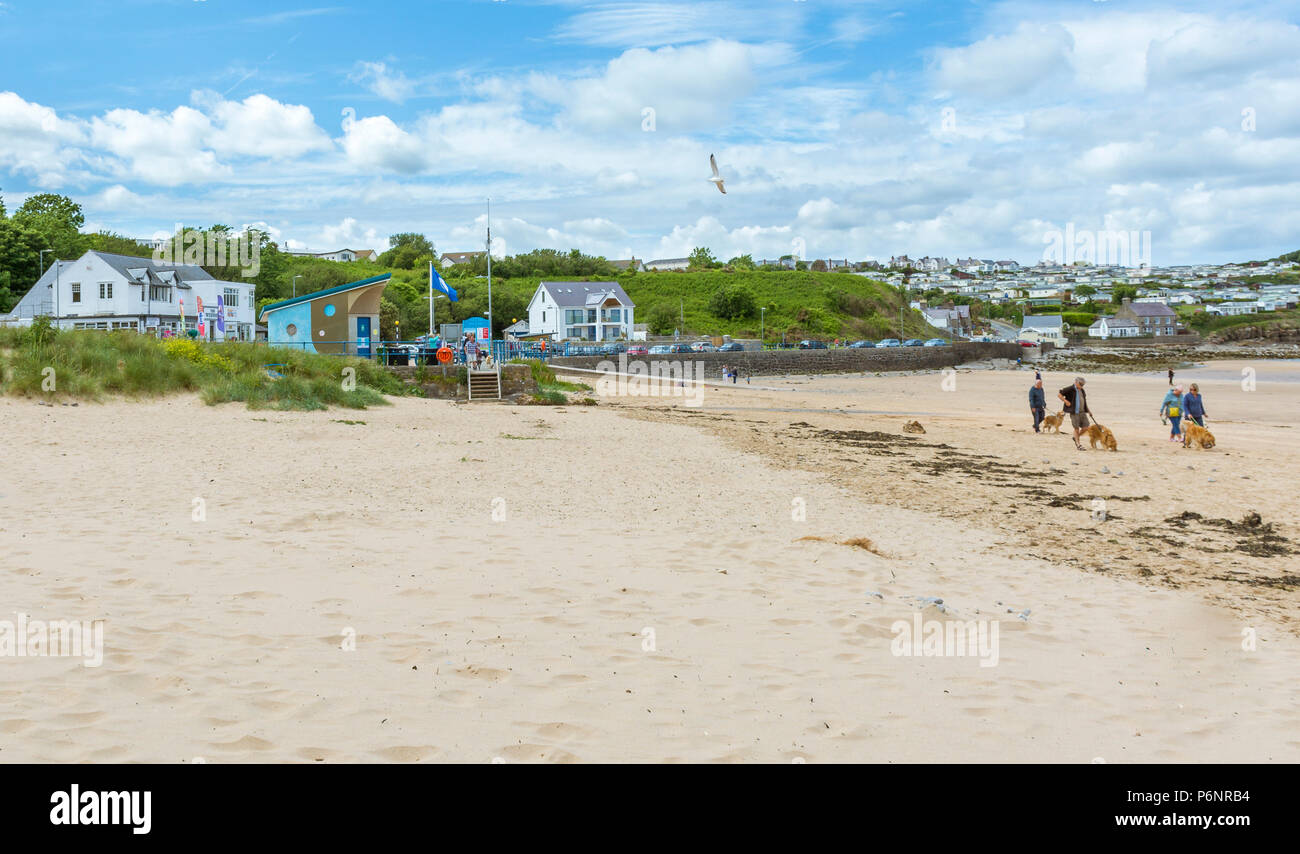 Dog walkers stroll out on to the dog friendly part of the beach at