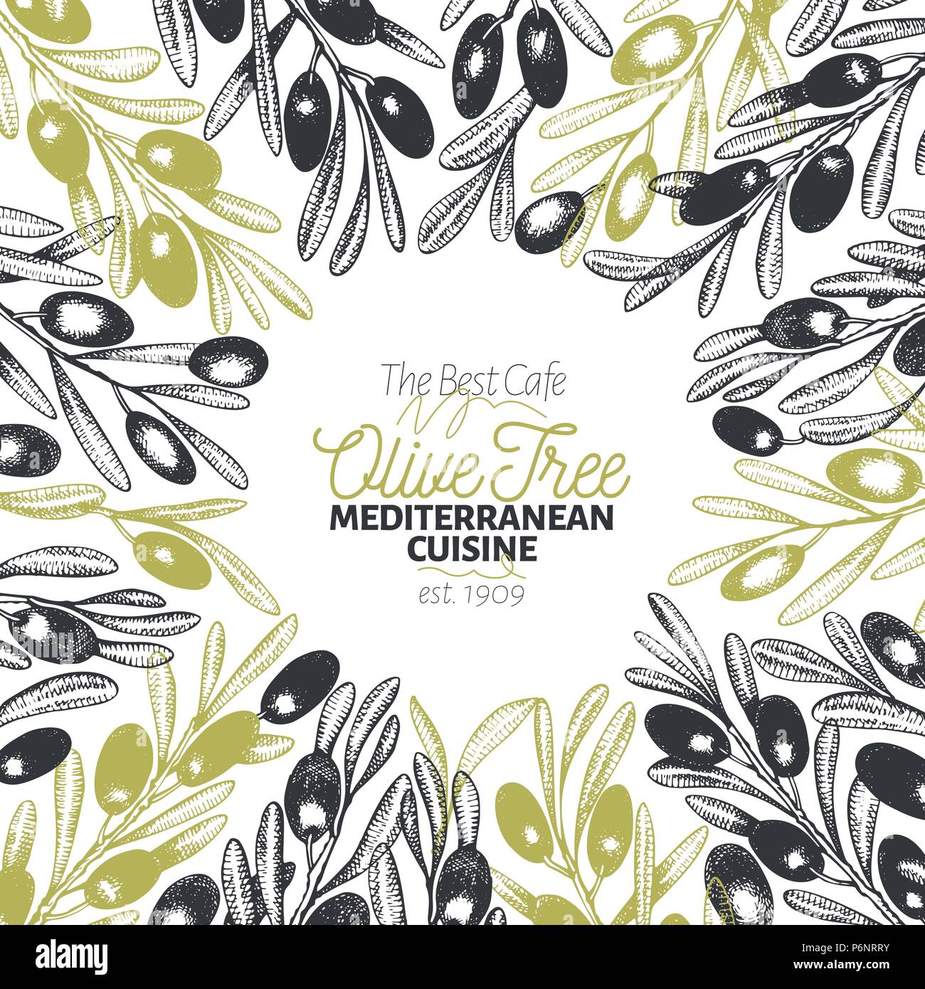 Olive tree banner template. Vector retro illustration. Hand drawn ...