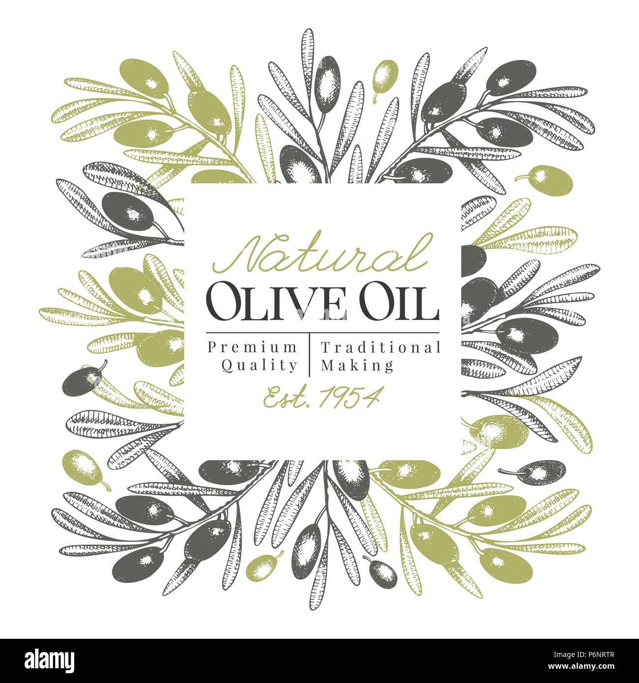 Olive Tree Banner Template Vector Retro Illustration Hand Drawn